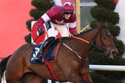 Champion Bumper hope Jalon D'Oudairies looks exciting at Leopardstown