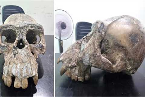This Explorer In Indonesia Claims They Found A Bigfoot Skull While Digging Inside This Old Cave