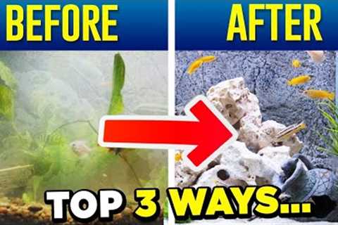 Crystal Clear Aquarium Water - Top 3 Tips (SIMPLE)