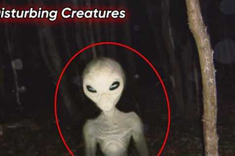Mega Compilation of Disturbing Trail Cam Footage 2023