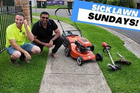 Giving Random People Money, JUST for having a SICK LAWN! It's Sick Lawn Sundays Episode 1