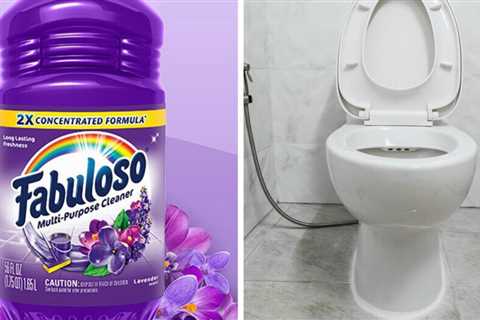 Fabuloso in the Toilet Tank: Does It Work?