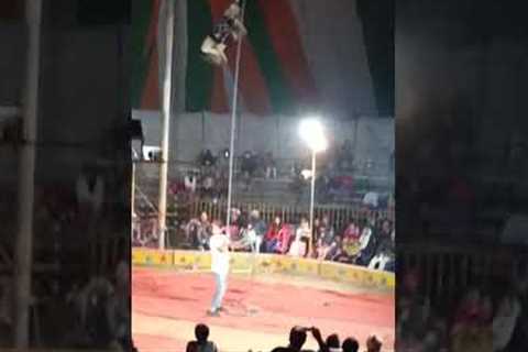 Circus fail during stunt😦😮🤡