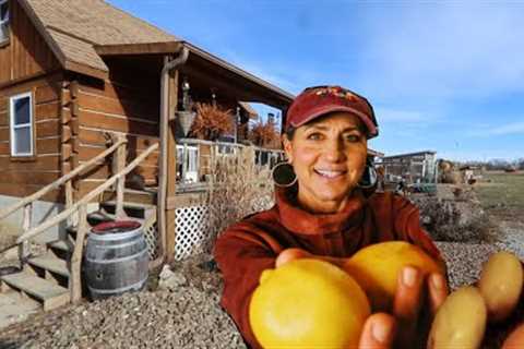 NEVER Throw away ORANGE OR LEMON SKINS! 5 uses from the Homestead
