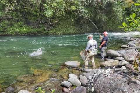 WILD River and BIG Fish!!