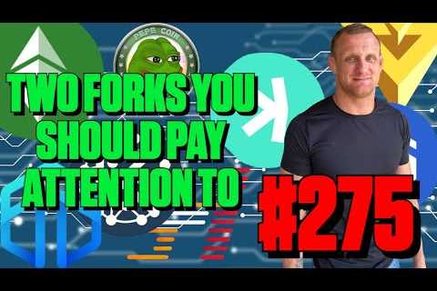 Two Forks You Do Not Want to Miss | Episode 275