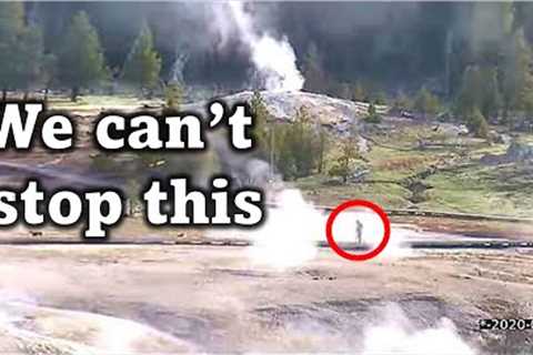 Yellowstone National Park Just Sent A Chilling Message After Finding This Inside The National Park