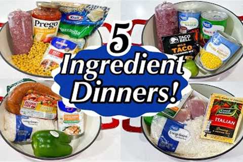 5 TASTY ONE POT MEALS | 5-INGREDIENT RECIPES | DINNERS MADE FAST &amp; EASY!! | JULIA PACHECO