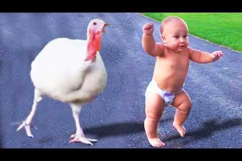 🔴 [LIVE] - 30 minutes TRENDING Funniest Babies Meeting Animals (Cute Baby) 🐤🐥🐣 || Cool Peachy