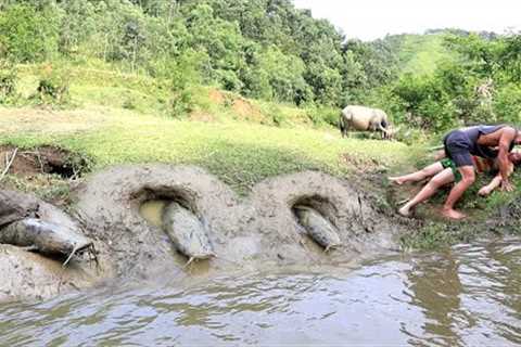 Top 1 Skills Survival: Catch Many Fish in Wild - Cooking Fish With Primtive life