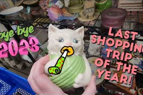 Last Shopping Trip of the Year! - Shop Along With Me - Goodwill Thrift Store
