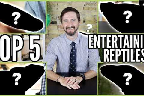 Top 5 Engaging Pet Reptiles