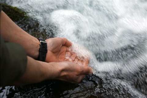 3 Tips for Surviving in the Wild