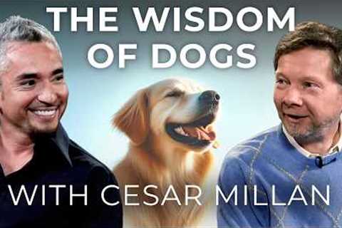Dog Training and Calm Assertiveness | Eckhart Tolle in Conversation with Dog Whisperer Cesar Millan