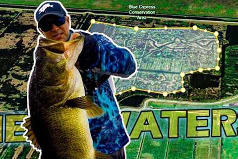 Explore Headwaters Lake South Lake's Monster Fishing Secrets and Locations! 💥🚀