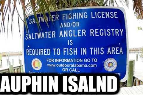 Beginner Saltwater Fishing at Dauphin Island (With Shrimp)