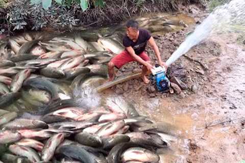 Fishing Exciting, Use A Large Capacity Pump, Catch Many Of Fish In The Lake
