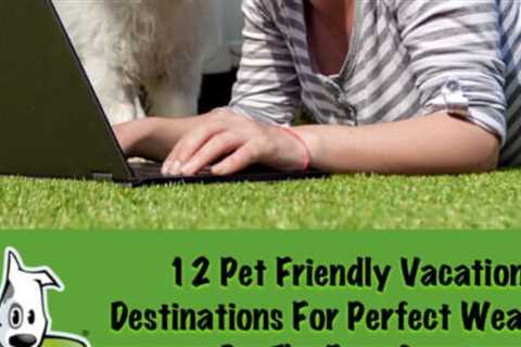 12 Pet Friendly East Coast Vacation Destinations For Ideal Weather