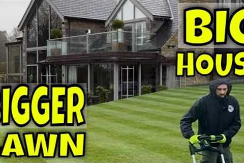 This Is The BIGGEST Lawn I've Ever Looked After. It Needs My HELP!