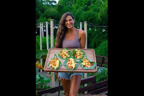 Best Raw Vegan Recipes for Beginners 🍓🌱 Easy, Healthy &amp; Quick GO-TO Meals You Can Eat..