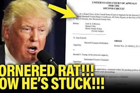 Trump Accidentally TRAPPED HIMSELF in Court with WORST LAWYERS