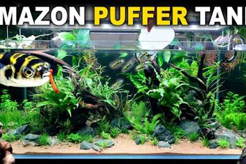 The Amazon Puffer Aquarium: 4ft Planted Tank Aquascape Tutorial