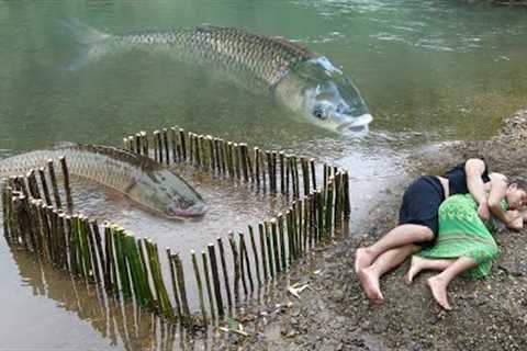 TOP 1 FISHING VIDEO, Survival Skills In The Forest, Cooking Fish, Living Off Grid
