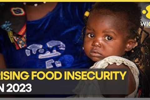 Global hunger and Food insecurity crisis | WION Climate Tracker