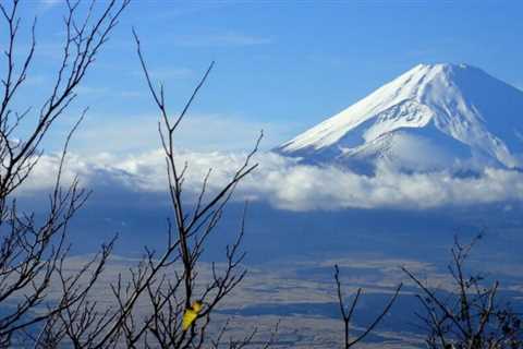 Hakone’s Exclusive Retreats: A Blend of Heritage and Opulence