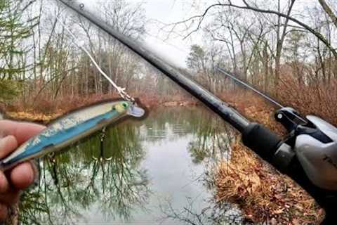 Winter MUSKY Fishing with TINY Lures!!