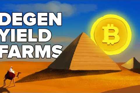 What are Degen Yield Farms? (Animated) - Crypto Pyramid Schemes