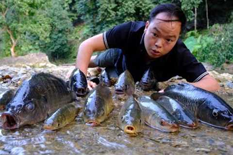 Primitive Skills; Discovered a school of fish escaped from the pond