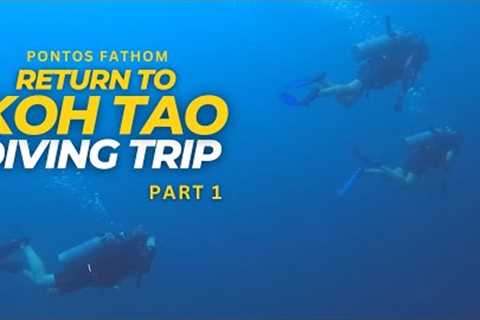 Koh Tao Scuba Diving Trip - Baan's Diving School - 2022 August - Part 1
