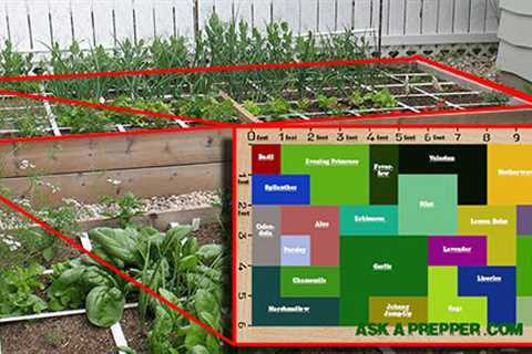 An Awesome 72 Square-Feet SHTF Medicinal Garden Plan