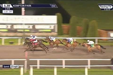 😲 150-1 winner! Lovealot Bear gets up on the line to cause a HUGE shock at Kempton!