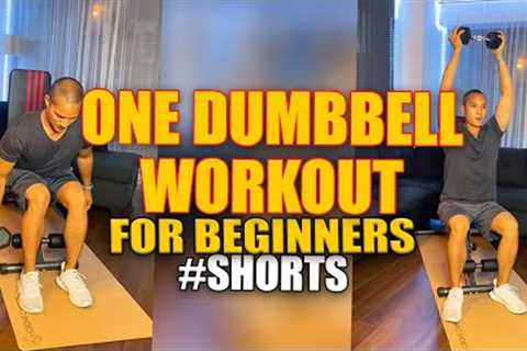 One Dumbbell Only Seated Workout for Beginners
