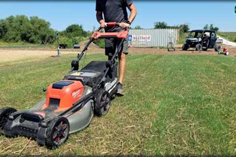 FIRST MOW On New Grass In JUST 7 DAYS! + Scalp Updates and More