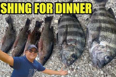 The Bite Was Insane (Catch N' Cook Mangrove Snapper)