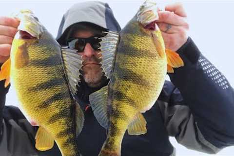 Ice Fishing Lake Cascade JUMBO Perch - Where and How to Find The GIANTS
