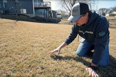 How I'm Preparing For Spring Lawn Care