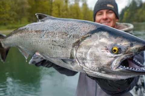 Most EXPENSIVE Salmon in WORLD! Catch Clean Cook (Chinook)