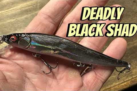 When The Deadly Black Shad Color Outproduces Any Other Color…