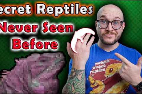 The Secret Reptiles I'VE NEVER TOLD YOU ABOUT!