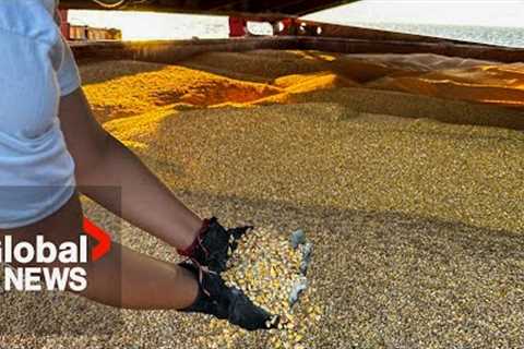 Black Sea grain deal: prices will go up amid looming global food crisis