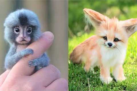 15 Cutest Exotic Animals You Can Own As Pets