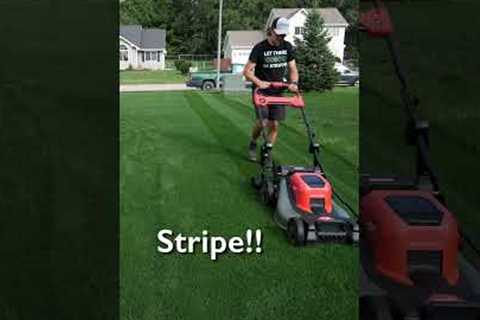 Lawn Striping Like A PRO With A Push Mower #lawncare #lawnstripes #grass