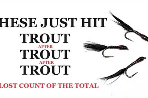 221. Fly Fishing with Pulling Buzzers = Mega Catch Return