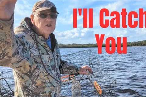 Blue Crabs, Almost Caught The Thief