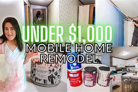 REMODELING A SINGLE WIDE MOBILE HOME FOR UNDER $1,000 DOLLARS | MOBILE HOME UPDATE
