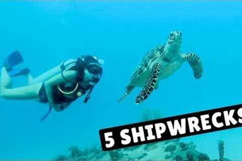 UNLIMITED SCUBA DIVING! | Barbados